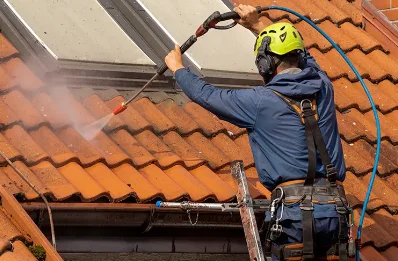 Démoussage et hydrofuge de toiture à Urbalacone